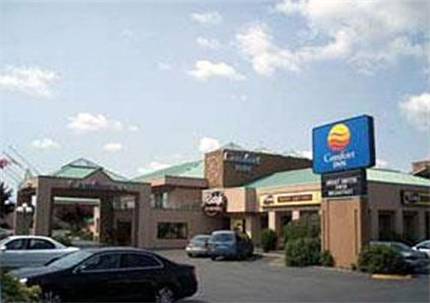 Comfort Inn Abbotsford