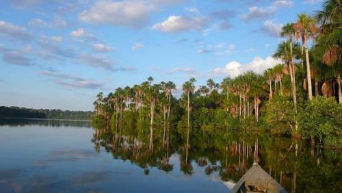 Amazon Eco Lodge Yakari