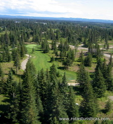 Fireweed Meadows Golf Course